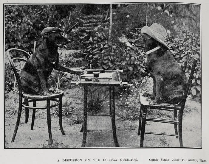 A Discussion On The Dog-Tax Question