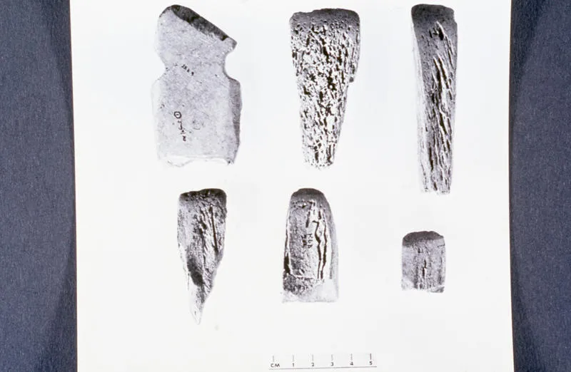 Bone tools found at Kaupokonui beach