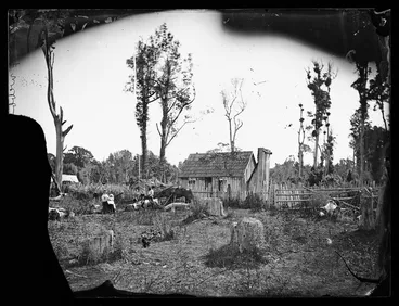 Image: F Webb's dwelling and family, in the Rangitikei