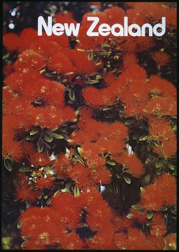 Image: New Zealand. Tourist and Publicity Department :New Zealand. Pohutukawa flowers. Photography National Publicity Studios. Produced by the New Zealand Tourist and Publicity Department. P D Hasselberg, Government Printer, Wellington, New Zealand. HO489 / 12M/10/81. [1981]