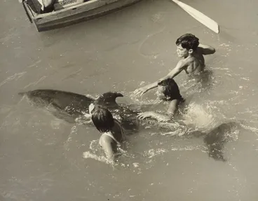 Image: Opo the dolphin, Opononi