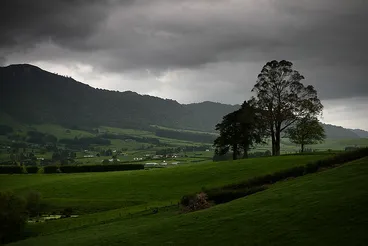 Image: Waikato farmland, Kaimai ranges, Old Te Aroha Road, NZ