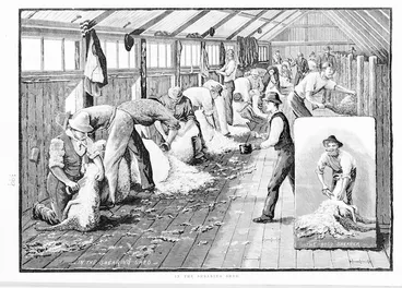 Image: Illustrated New Zealand News :In the shearing shed. The 'Ross' shearer. 24 December 1883