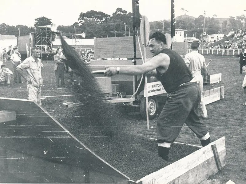 Winstone's Metal Shovelling Competition, Easter Show, Auckland: 1962 competitor shovelling metal