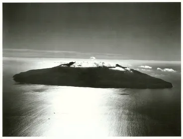 Image: Auckland - Little Barrier Island