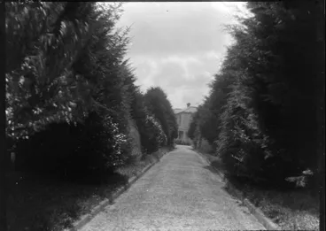 Image: Tree lined driveway leading to a house