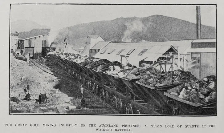 The Great Gold Mining Industry Of The Auckland Province