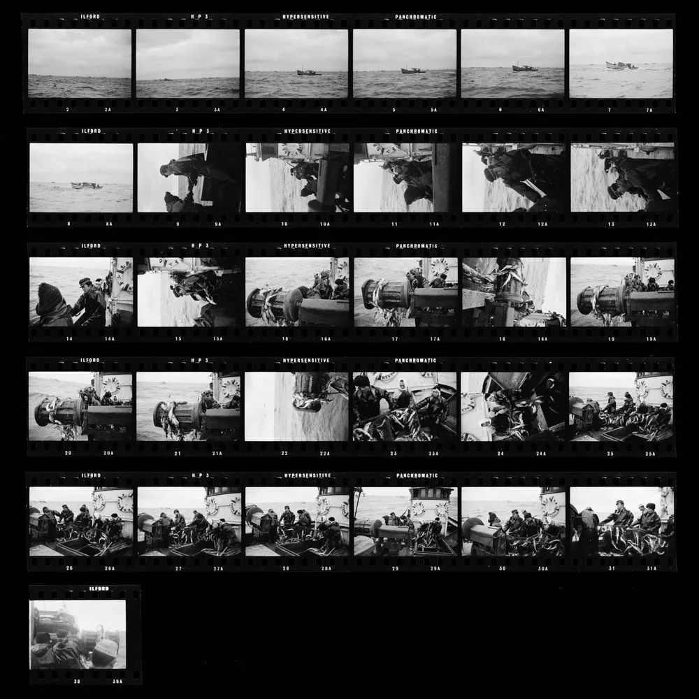 [Commercial fishing, Hokkaido] (from a series on Japan)