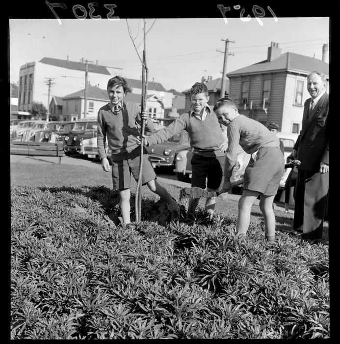 Schoolboys planting a tree for Arbour Day, Wellington