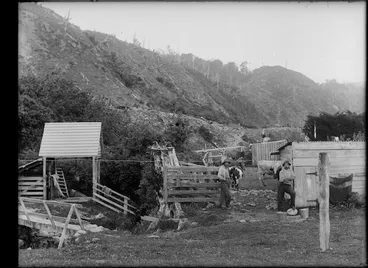 Image: Dairy farm in Otaki Gorge