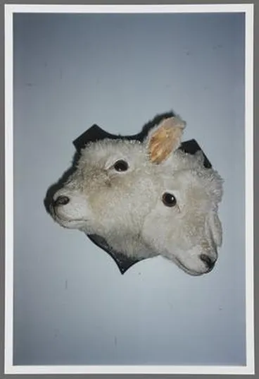Image: Romance: Houhora (Sheep) 2003