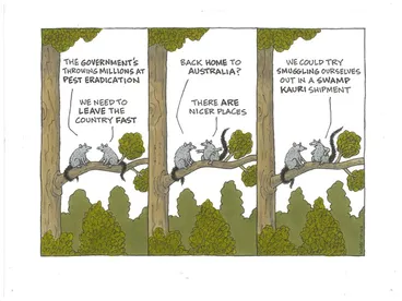 Image: Pest eradication - Swamp kauri