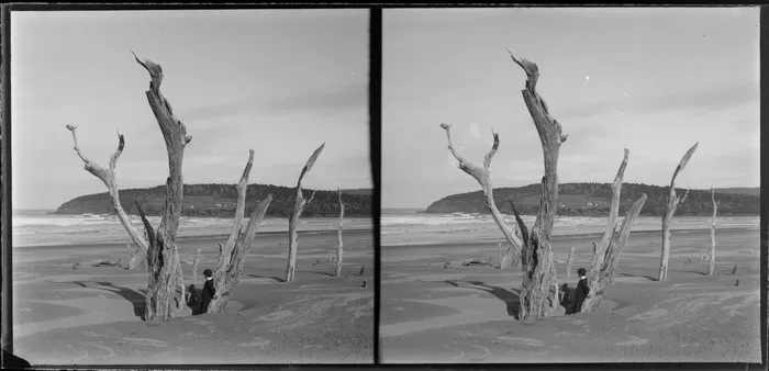 Two boys on a beach, Catlins, Otago