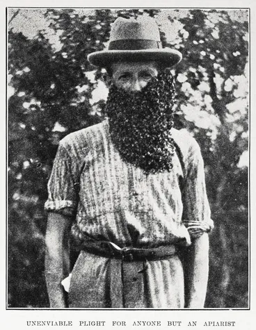 Image: Unenviable plight for anyone but an apiarist