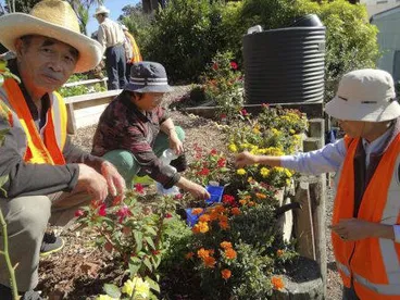 Image: AEPA group working at New Lynn community garden.