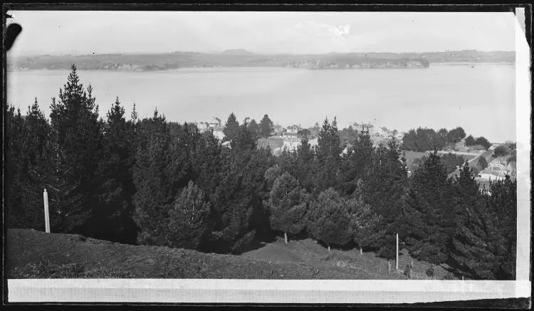 Waitematā Harbour from Mount Victoria