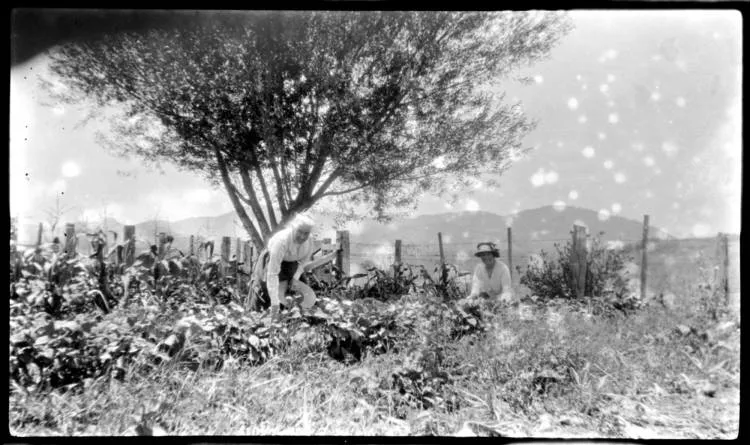 The Wanganui Barr aunts in the vegetable garden at Beresford, near Kakanui, southern Kaikoura Harbour.