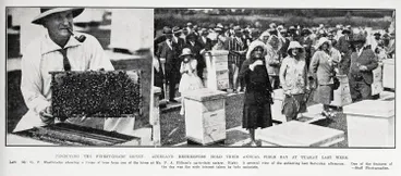 Image: Producing the finest-grade honey: Auckland beekeepers hold their annual field day at Tuakau last week