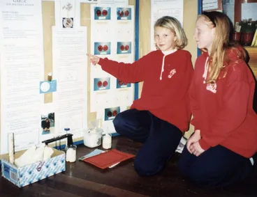 Image: Fergusson Intermediate science fair winners