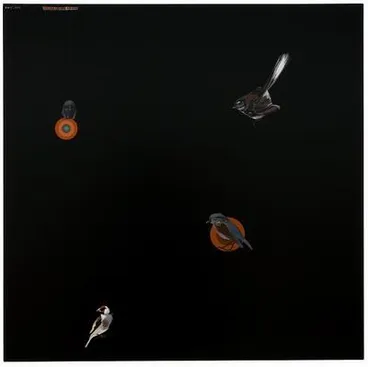 Image: Southern Cross