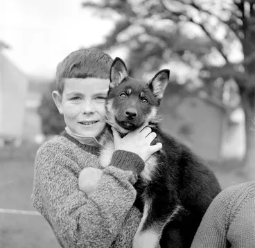 Image: Animal Rescue Dog Show