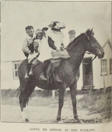 Image: Going to school in the Waikato