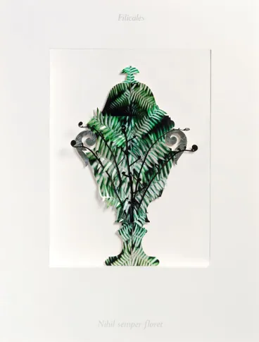 Image: Ossuary II: Filicales (fern). Nihil semper floret (nothing flourishes forever)