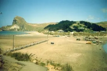 Image: Castlepoint Lagoon and boardwalk : digital image