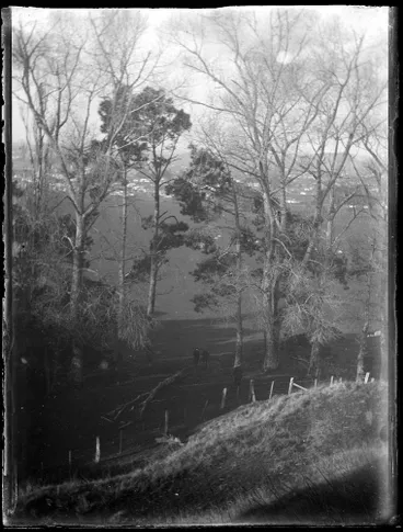 Image: View from One Tree Hill