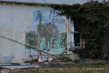Image: Historic Moa Creek Hotel & Store, Ida Valley, Central Otago