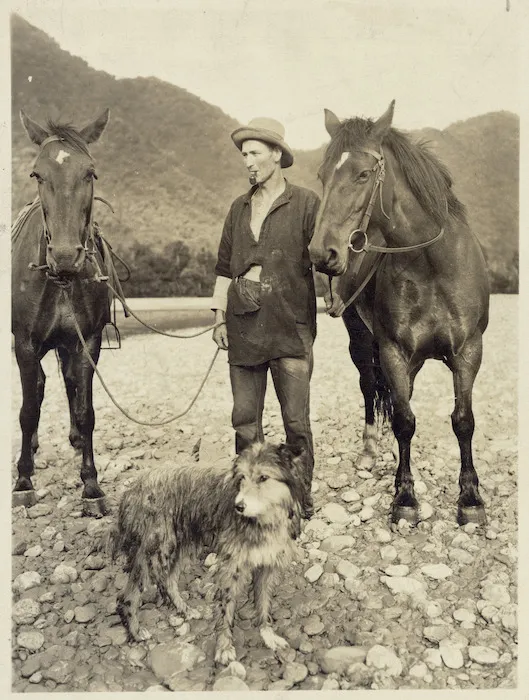 Cattle farmer Paddy Nolan