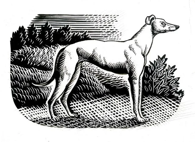 E. Mervyn Taylor School Journal artwork