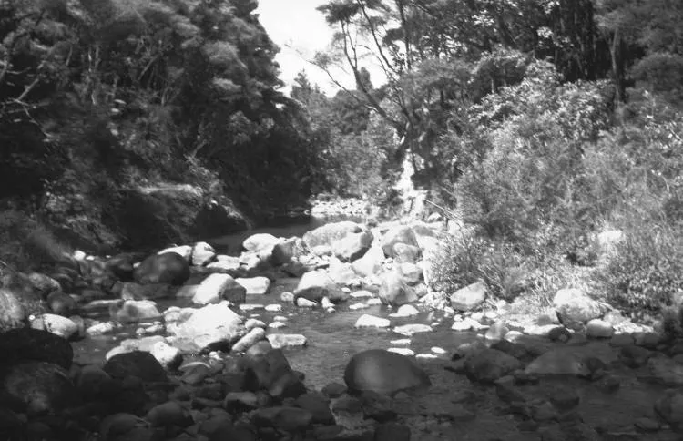 Side of holding dam on Karamatura Stream.