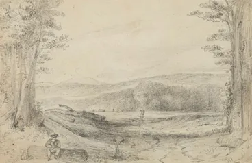 Image: The Fern ground, looking up towards Managaroa