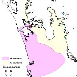Examples of some contemporary iwi boundaries (http://www.tkm.govt.nz/) and the spatial distribution of obsidian source communities and archaeological site communities.