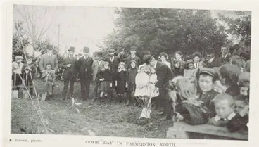 Arbor day in Palmerston North Image: Arbor day in Palmerston North