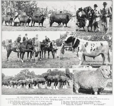 Image: The Governor General attends the royal show held at Tomoana, near Hastings, Hawke's Bay last week