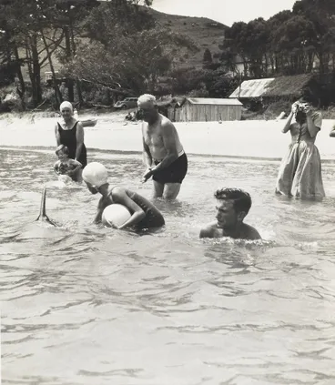 Image: Opo the dolphin, Opononi