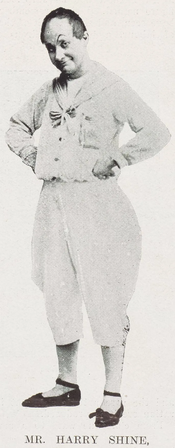 Mr. Harry Shine
