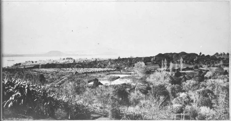 Auckland Domain and the Waitematā Harbour, 1869