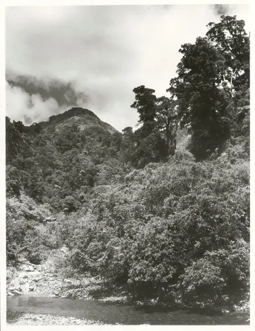Image: Orongorongo Valley