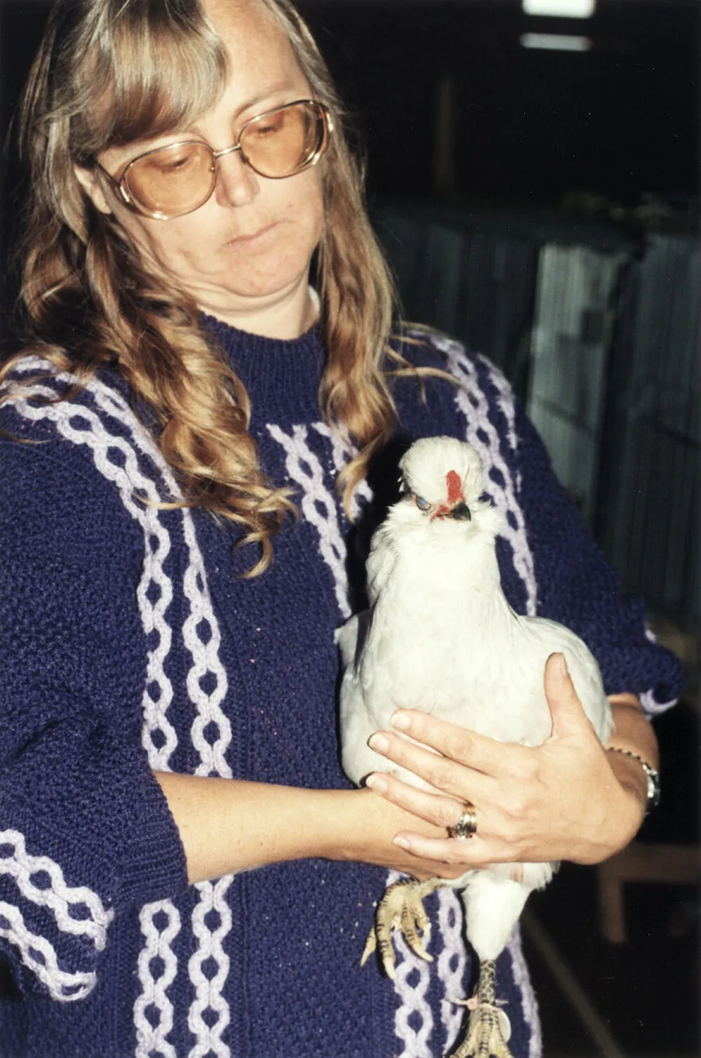 Hutt Valley District Poultry and Pigeon Club show; Trish Lynch and her 1997 prize-winning lavender araucuna.