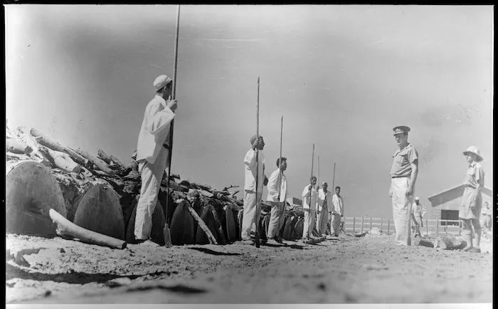 Waiting for the signal to open the ovens, Egypt