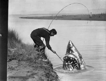 Image: Man `catching' a shark