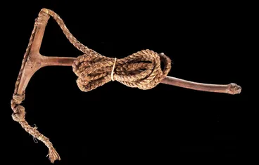 Image: Mutu kākā (bird snare)