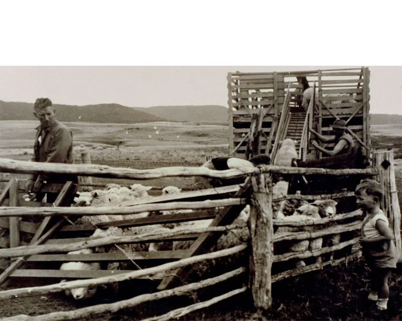 Meet Ian Begg - Heritage Central Otago