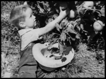 Image: Sunshine Province (1938)