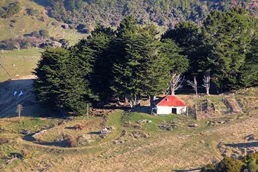 Image: Old house, Le Bons Bay Road, Banks Peninsula, Canterbury, New Zealand