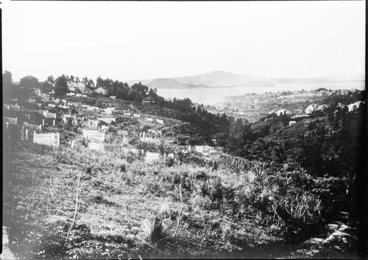 Grafton Gully and the Waitematā Harbour, 1868