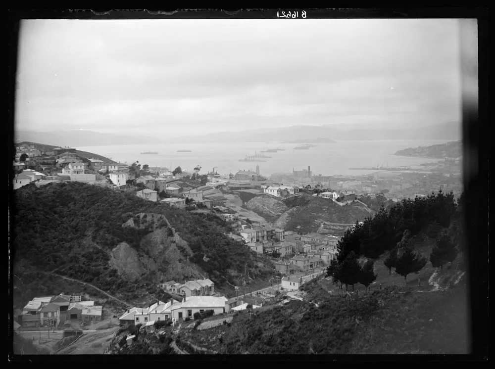 [View of Wellington Harbour with Japanese and New Zealand troopships in harbour]